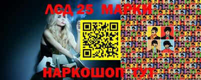 крисы Кандалакша