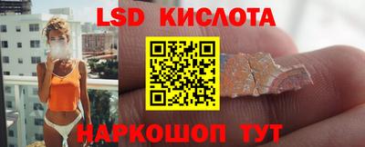 гидропоника Камышлов