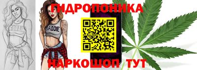 крисы Кандалакша