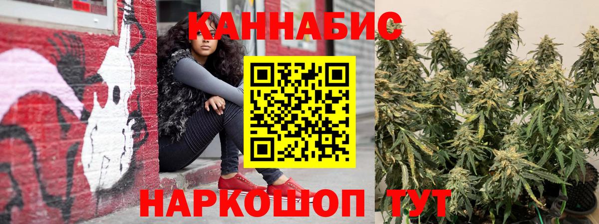 Бошки Шишки White Widow Людиново